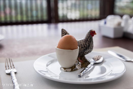 پروتین تخم مرغ آب پز و سفید تخم مرغ