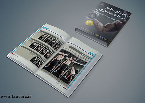 عضلات شکم
