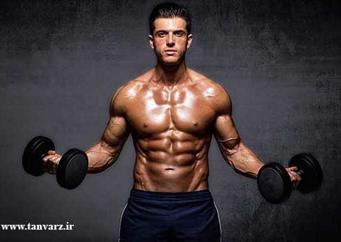 افزایش حجم عضلات سینه