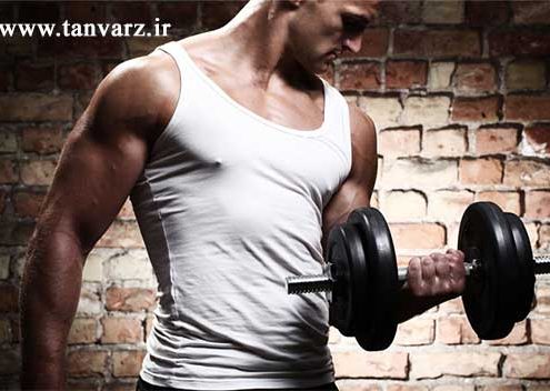 افزایش تستوسترون