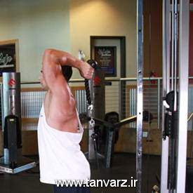 Cable-Rope-Overhead-Triceps-Extension-1-1.jpg