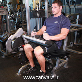 Seated-Leg-Curl-2.jpg