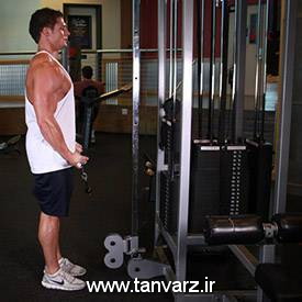 Standing-Biceps-Cable-Curl-1.jpg