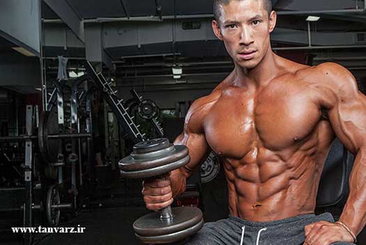 تقویت عضلات شکم