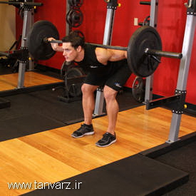 سلام ژاپنی با هالتر