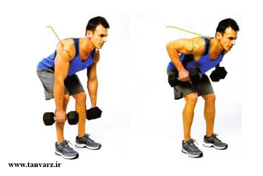 پاروکش خمیده