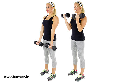 جلوبازو با دمبل