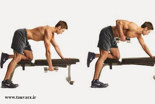 حرکت چمنزن با دمبل