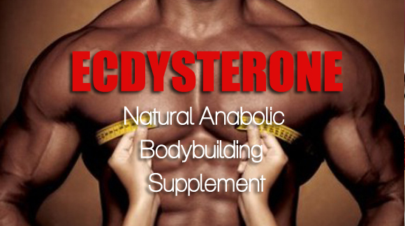  نقش و مزایای بتا اسدیسترون یا 20- هیدروکسی اسدیسترون در بدنسازی