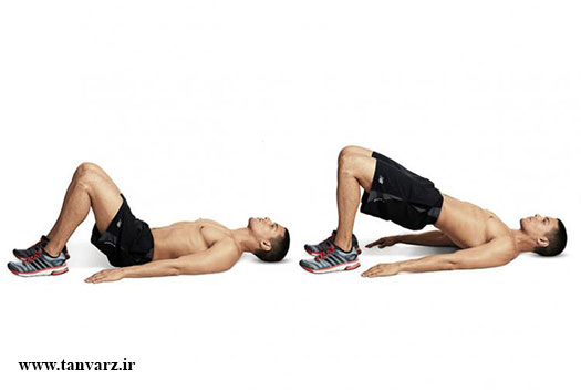 پل عضلات سرینی