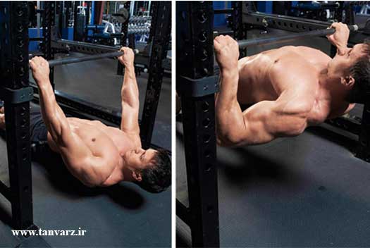 پارویی معکوس