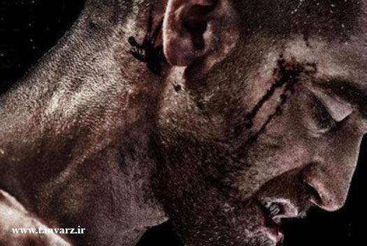 برنامه تمرینی بدنسازان دنیا