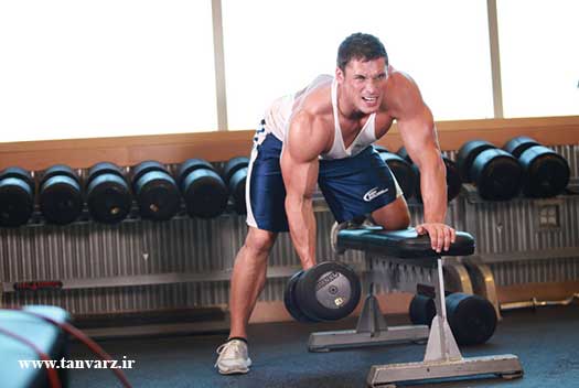 زیبایی اندام