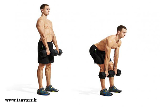 ددلیفت رومانی