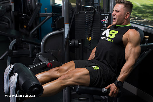 افزایش حجم ماهیچه ها