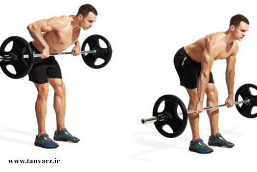 پارویی خمیده