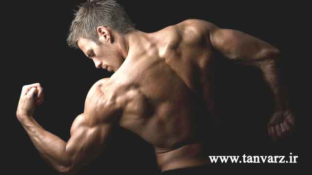 موفقیت در بدنسازی