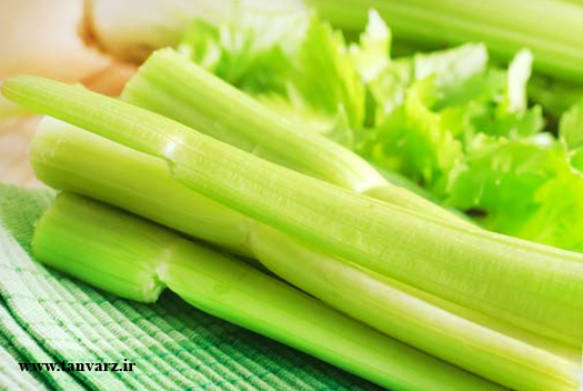 خوراکی بدون کالری