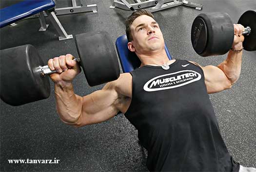 تمرینات عضلات سینه