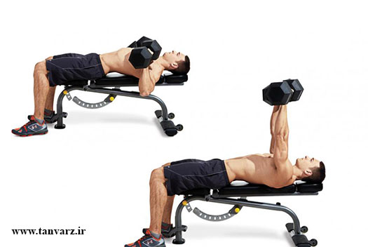 پرس سینه با دمبل