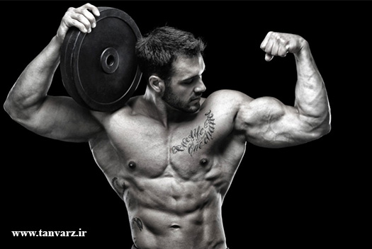 افزایش حجم عضلات