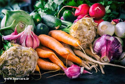 رژیم غذایی مبتنی بر گیاهان