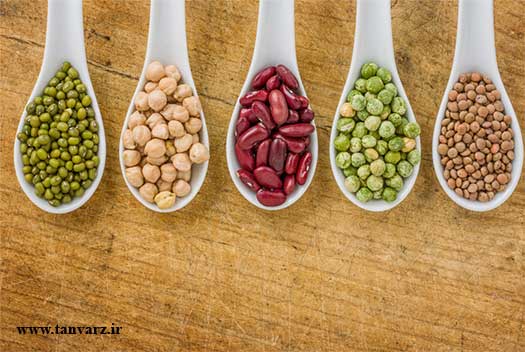 پروتئین گیاهی