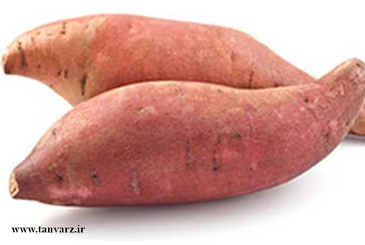 لاغری و چربی سوزی