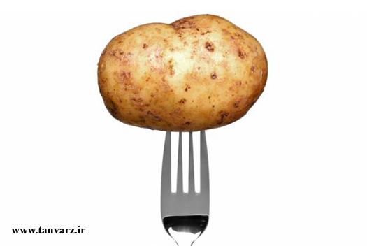 برنامه تمرینی افزایش حجم و وزن