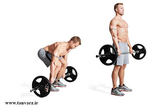 ددلیفت رومانی