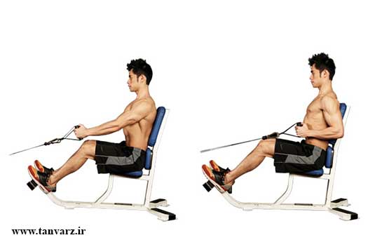 پارویی نشسته