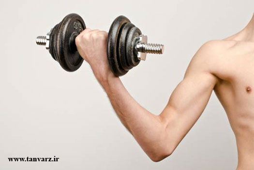 برنامه تمرینی بدنسازی افزایش حجم و وزن
