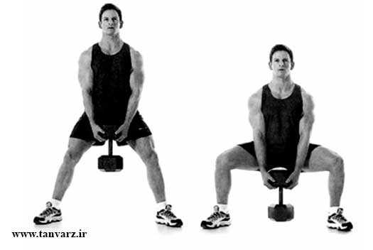 اسکاوت سومو