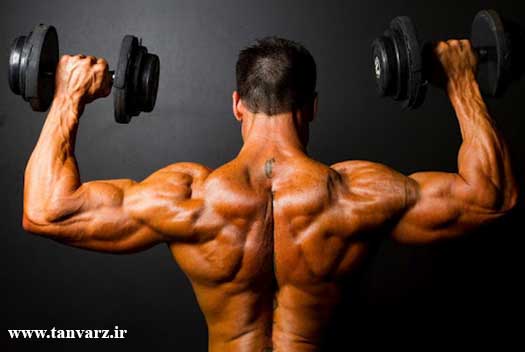 تمرینات فوق العاده برای افزایش ماهیچه ها