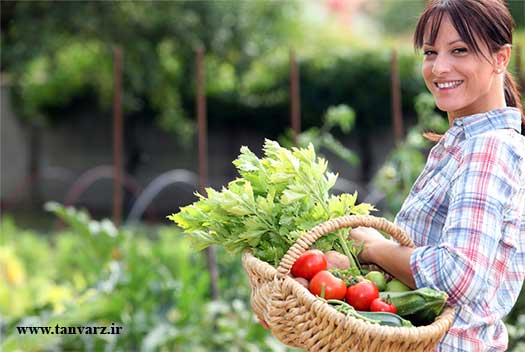 رژیم غذایی گیاهی