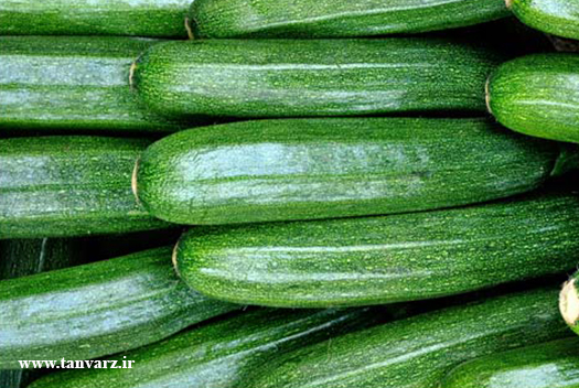 برای کاهش وزن چه بخوریم