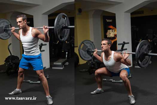 اسکات با هالتر در برنامه بدنسازی زنان