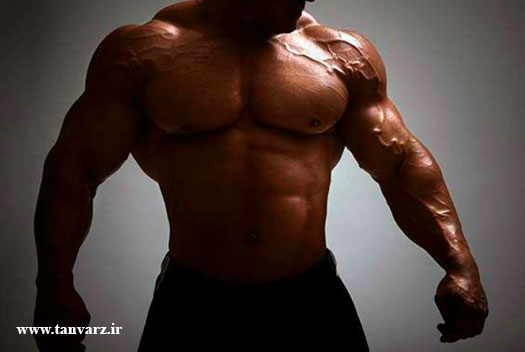 برنامه غذایی افزایش حجم