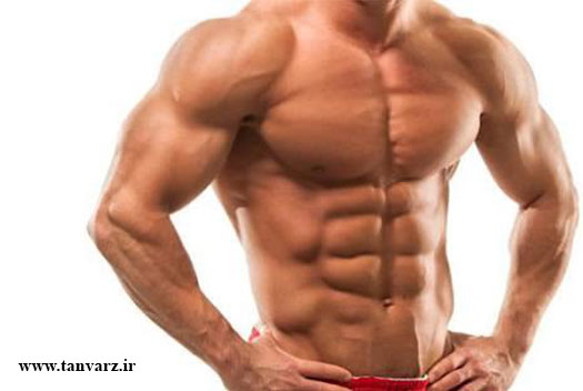 بهترین برنامه غذایی بدنسازی برای افزایش وزن چیست؟