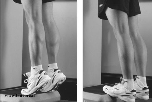 بالا بردن پا در حالت ایستاده