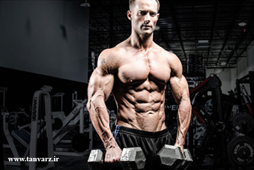 برنامه بدنسازی برای تمام بدن