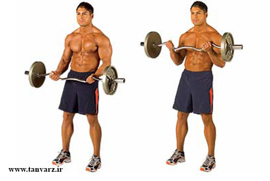 جلو بازو هالتر ایستاده با میله زد