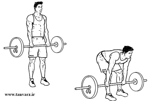 ددلیفت با میله
