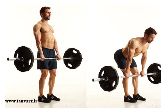 ددلیفت رومانیایی در برنامه تمرینی زنان