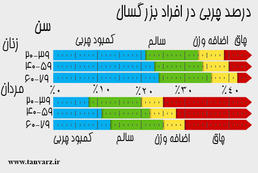 رژیم غذایی لاغری